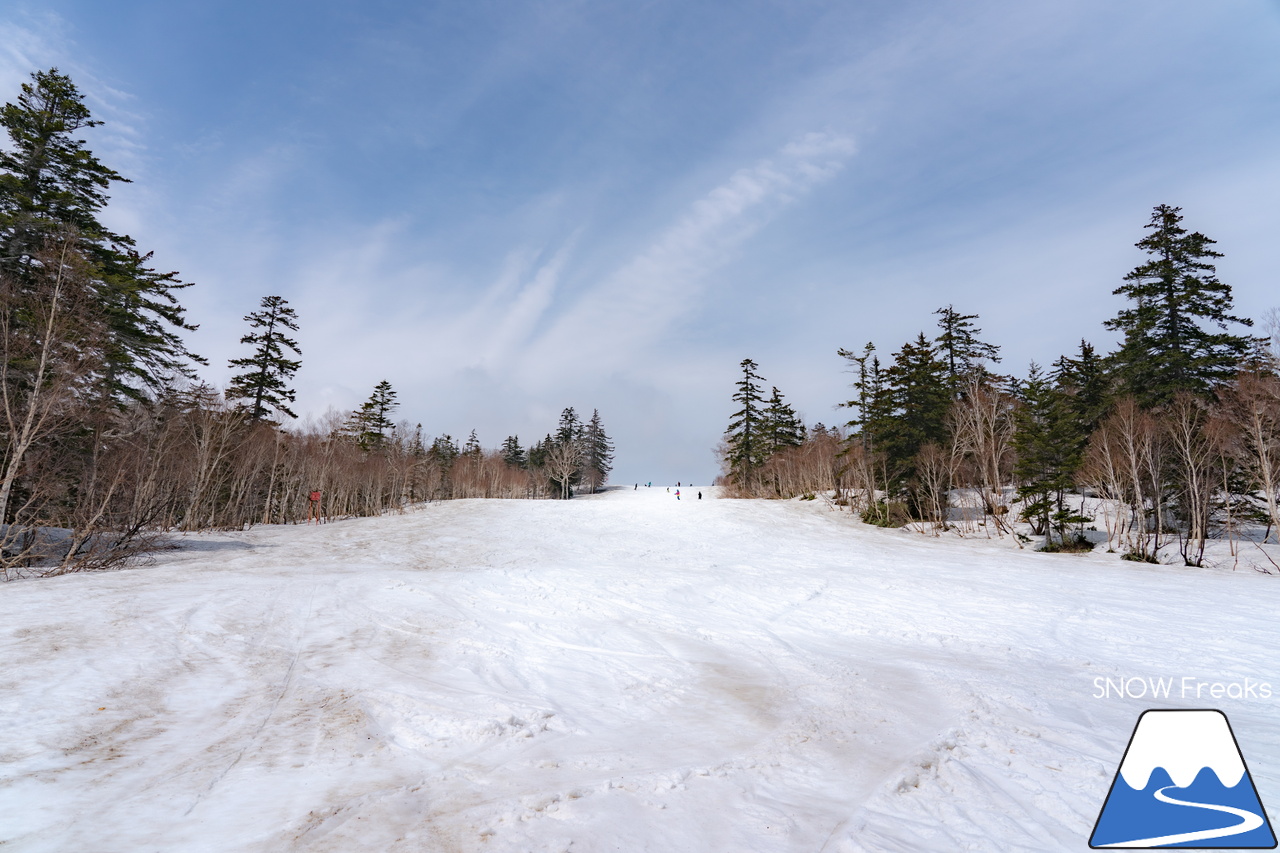 札幌国際スキー場｜2023・ゴールデンウィークがスタート！心配された雪ですが…。大丈夫、ちゃんと残ってくれました(^_-)-☆